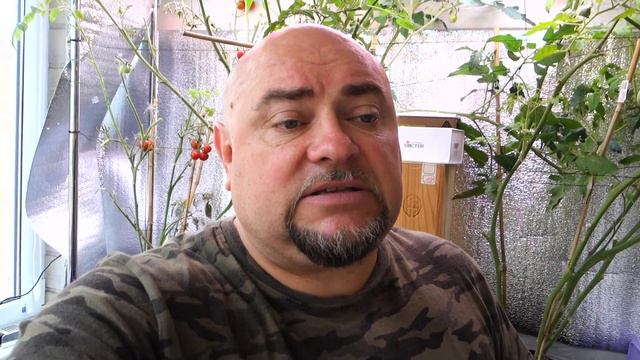 Занимательная гидропоника. Конец эксперимента смотреть онлайн