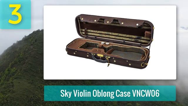 Best Violin Cases 2024 - Top 5