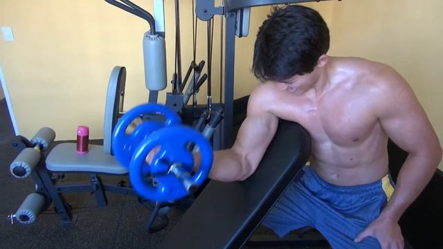 HIIT - Exercise Yourself Like A PRO ! - Class 4 - Biceps And Triceps Training