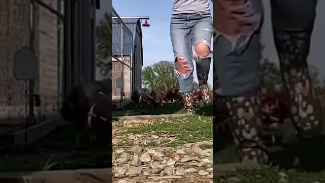 беги. mp4 смотреть онлайн