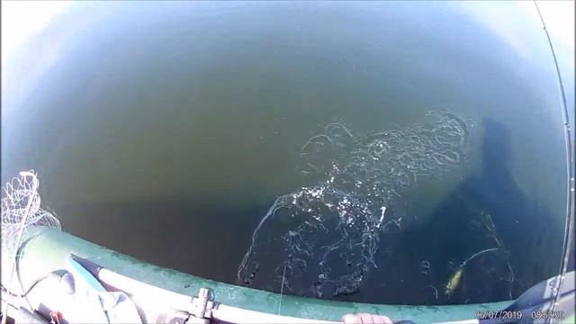 Рыбалка на Волге. Лето 2019 г. смотреть онлайн