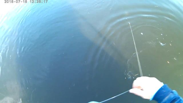 перемёт хороший судак смотреть онлайн