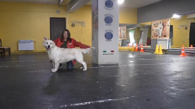 R P FESTIVAL смотреть онлайн