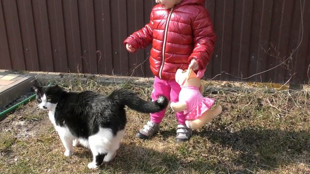 Как Николь и ее собачка Chi Chi Love на прогулке встретили котика смотреть онлайн