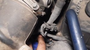 Плохо запускается на горячую Газель Некст с двигателем эвотек