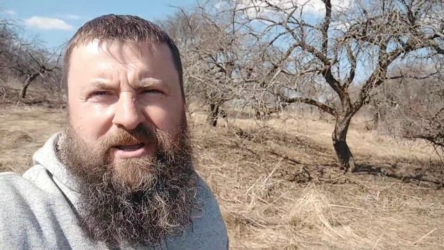 Продлим жизнь плодовому саду в д.Павловское. Тёмкинский район Смоленская область. смотреть онлайн