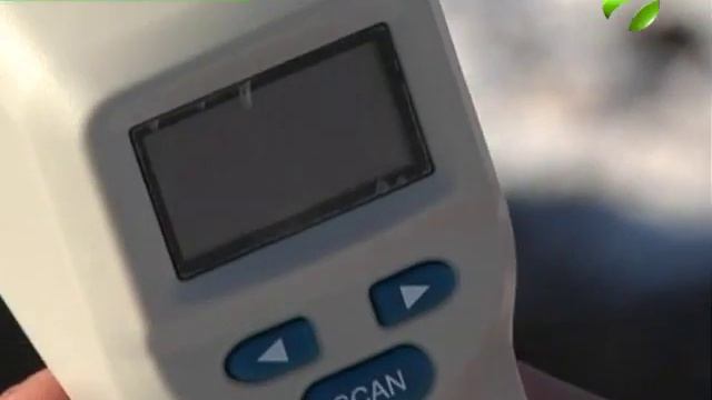 В селе Толька якутские лошади благополучно пережили зиму смотреть онлайн