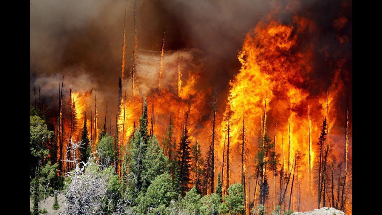 ОБЖ, 7 класс. Лесные и торфяные пожары смотреть онлайн