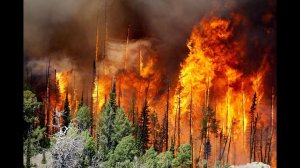 ОБЖ, 7 класс. Лесные и торфяные пожары