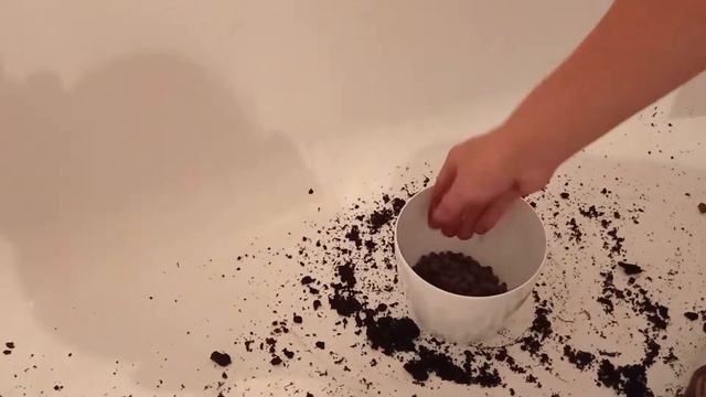 Moje nowe kwiaty смотреть онлайн