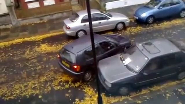 Видеоприкол девушка паркуется смотреть онлайн