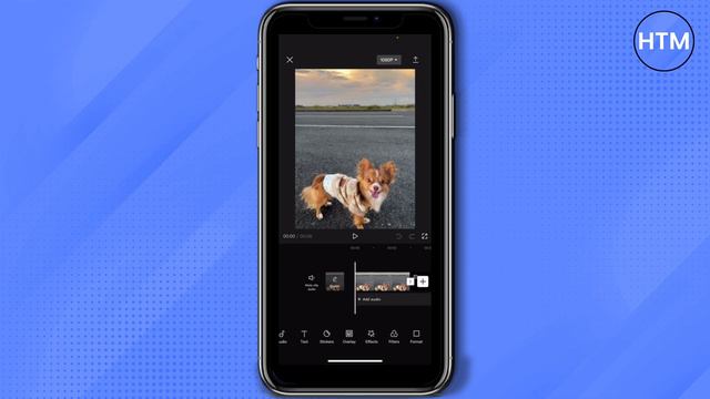 How To Edit Tiktok On Capcut (EASY!) смотреть онлайн