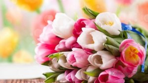 ДАРИТЕ ЖЕНЩИНАМ ЦВЕТЫ - Ян Райбург