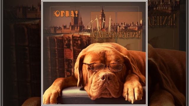 Юрка, с днем рождения! Открытка с большой собакой и стихами. смотреть онлайн