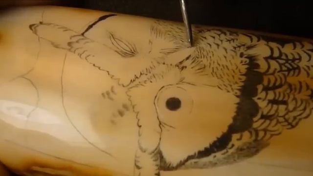 Scrimshaw Demonstration by Adams - Screech Owl смотреть онлайн