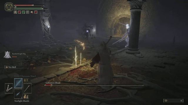ELDEN RING PS5 - Cemetery Shade (Black Knife Catacombs ) смотреть онлайн