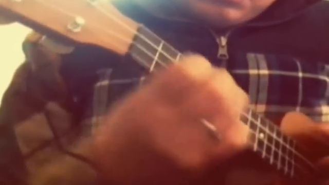 Toreador Song From opera Carmen-Ukulele Cover смотреть онлайн