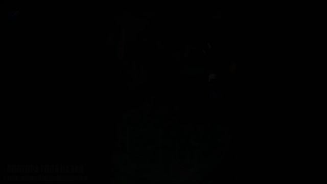 ОБЛАВА СОБР 2 года назад смотреть онлайн