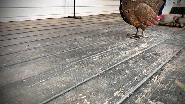 ASMR Sweeping my front porches (No talking only) Sweeping leaves & dirt on a cold winter day. смотреть онлайн