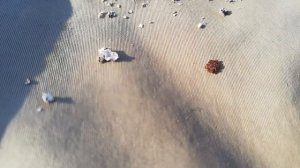 Фидер ранней весной! Тактика ловли на фидер на реке весной.Открыли Фидерный сезон! Рыбалка на Плотв