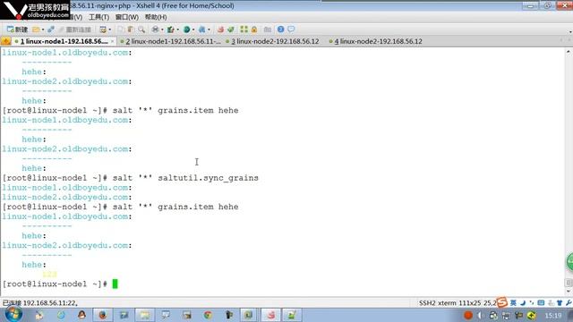 L005-老男孩高级架构师体系-Saltstack自动化运维-5-saltstack数据系统-grains смотреть онлайн