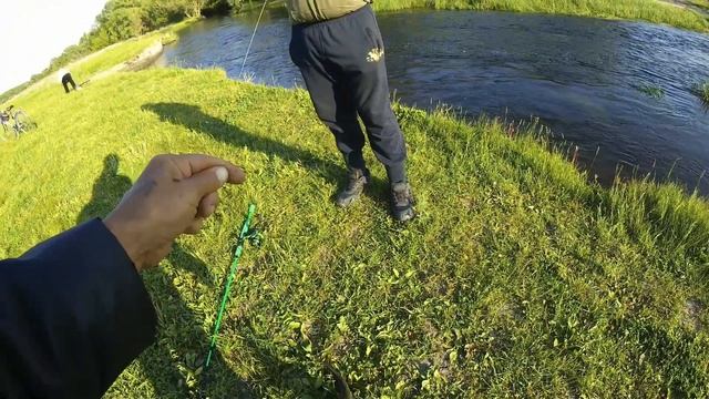 Рыбалка на спиннинг на белого хищника. Ловля Голавля. смотреть онлайн