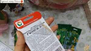 Обзор семян огурцов  для открытого грунта 2020