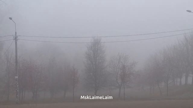 Радиационный_ туман в Москве 2 ноября 2021 смотреть онлайн