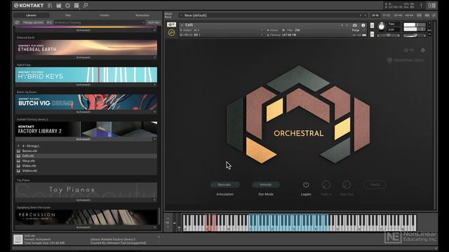 10. Orchestral Instruments