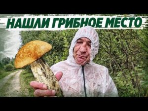 ЗА ГРИБАМИ ВСЕЙ БРИГАДОЙ В МЕДИЦИНСКИХ КОСТЮМАХ / ЖАРИМ В ЛЕСУ КАРТОШКУ С ГРИБАМИ