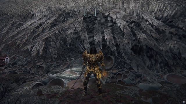 NEW Elden Ring rune farm glitch (dragon) 6 MILLION per hour, AFTER PATCH 1.03 смотреть онлайн