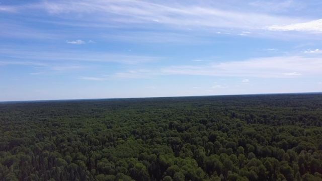 Русское поле .... Russian field. 4К. FIMI X8 SE. смотреть онлайн