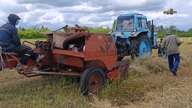На заготовке кормов! смотреть онлайн