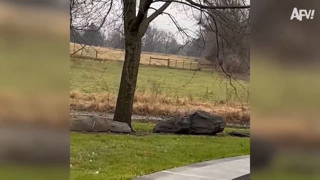 Funniest Family Moments | Who's In Charge Here? смотреть онлайн