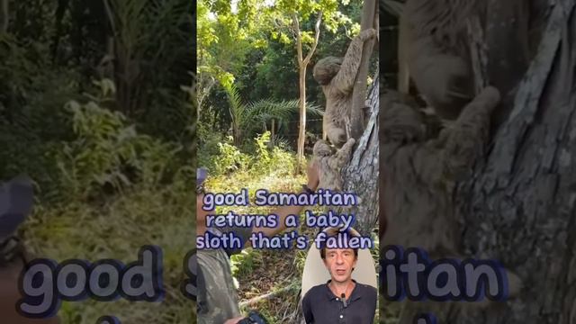 A Mother and Child reunited in Nature! 😀 #kindness смотреть онлайн