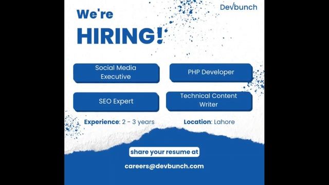 Social Media Executive, PHP Developer, SEO Expert, and Technical Content Writer - Job Finders. смотреть онлайн
