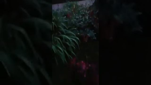 Летний вечер на даче...продолжение.. смотреть онлайн