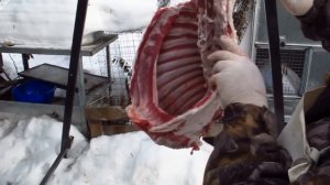 Разделка туши барана