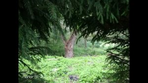 Гордость и предубеждение - аудиокнига, глава 1, часть 13