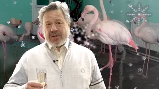 С Новым 2014 годом. директор Харьковского зоопарка Алексей Григорьев. смотреть онлайн