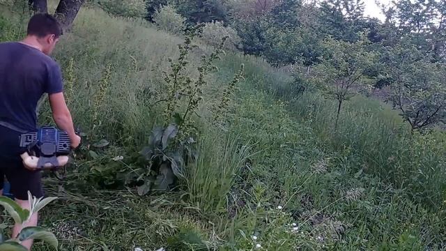 Тример Байкал, Косим участок. Как работает тример