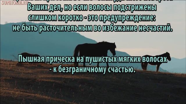 К чему снятся Волосы сонник, толкование сна