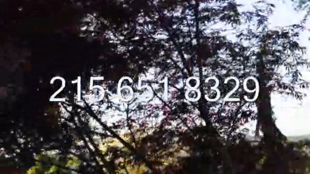 Viburnum Pruning Made EZ смотреть онлайн