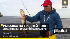 Алексей Шанин. Рыбалка на Средней Волге. Часть 1. Ловля щуки и окуня на воблеры. Anglers Practical