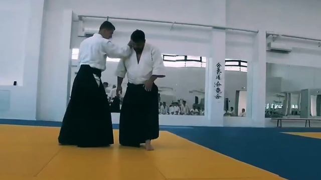 Marenkov Andrei 6 Dan Aikido Aikikai смотреть онлайн