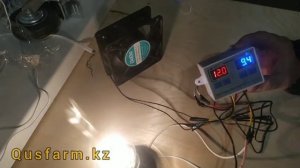 Терморегулятор екіканалды W1088 инкубатор брудер қосу және қолдану Термостат двухканальный