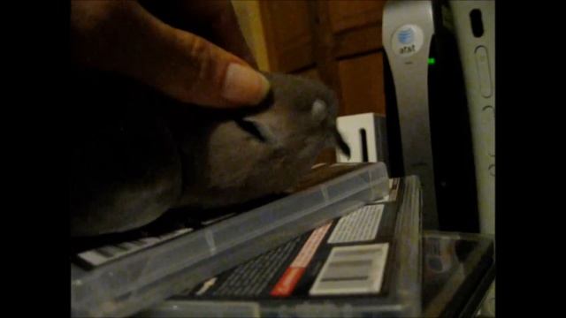 Dove cooing: likes to sit and "coo" on video games. смотреть онлайн
