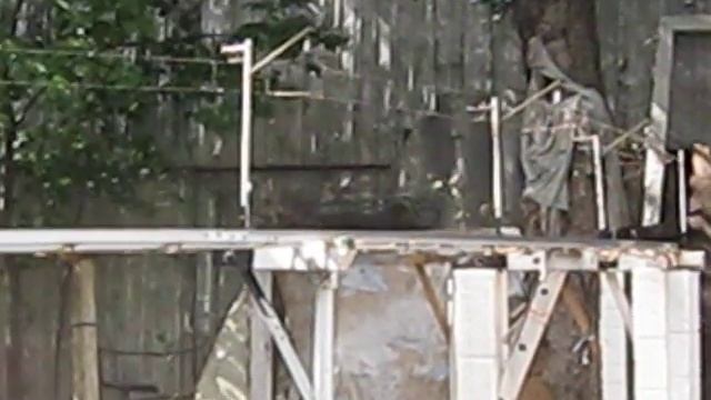 MVI_1457_Модель Сапсана_1.AVI смотреть онлайн