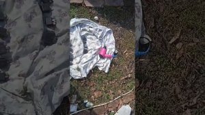 ЧТО ДЕЛАТЬ ЕСЛИ ДВОРНИКИ РАБОТАЮТ САМИ ПО СЕБЕ ПОСМОТРИТЕ ЭТО ВИДЕО И ВЫ ПОЙМЁТЕ