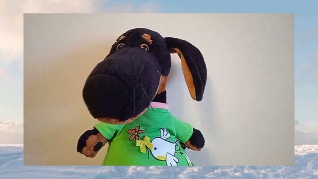 Почему хомяк не бегает в колесе смотреть онлайн